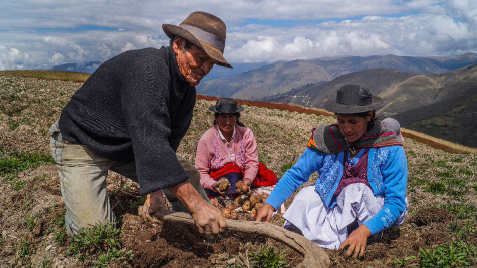 Mirtha Vasquez: Segunda Reforma Agraria impulsará Ley de Cooperativas