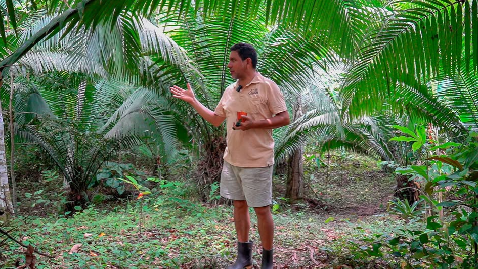 Bionegocios: COOPAC Norandino financia nuevas iniciativas en la Amazonía