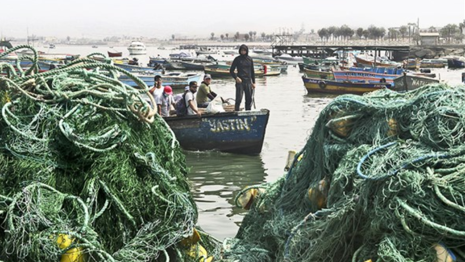 Proponen seguro para pescadores artesanales