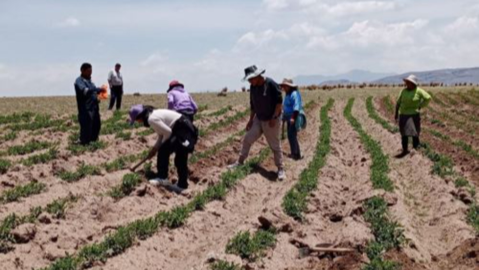 Seguro Agropecuario Bajo Cofinanciamiento Apoyo Crucial Para Agricultores Ante Los Efectos Del 3641