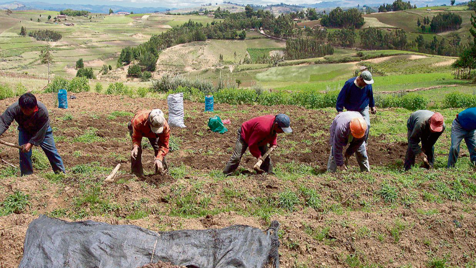 Ley de perfeccionamiento de la asociatividad de los productores agrarios en cooperativas agrarias